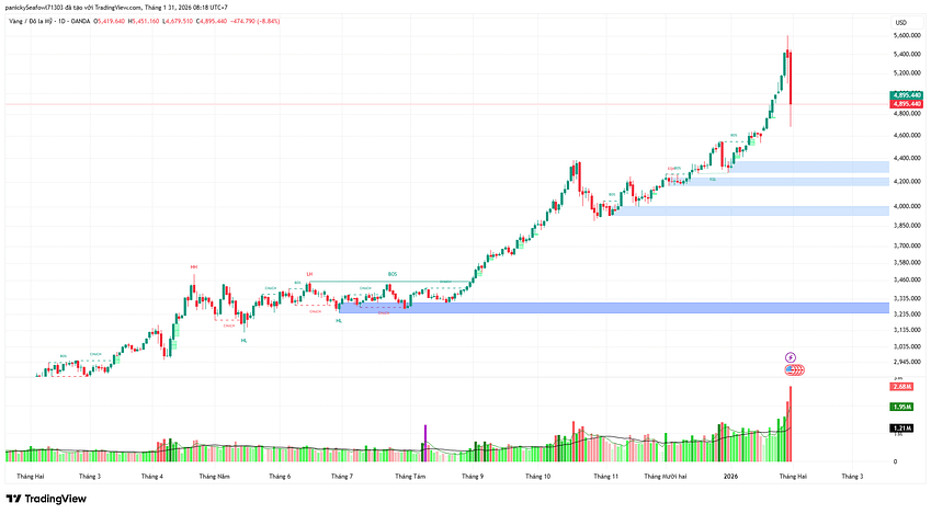 Thị trường vàng (XAU/USD) cho Tuần 6/2026: Cảnh báo mô hình "BLOW-OFF TOP" và áp lực chốt lời cực đại.